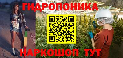 твердый Пугачёв