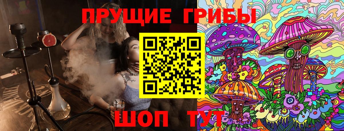 Артём  Галлюциногенные грибы MAGIC MUSHROOMS  Вход с VPN 